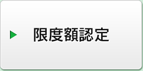 限度額認定